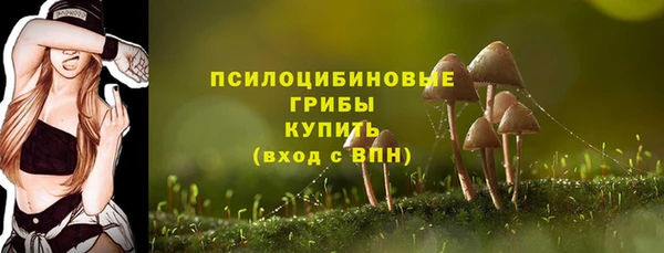 амфетамин Каменногорск