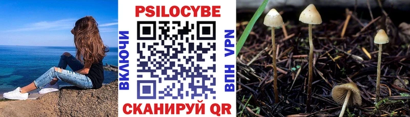 Псилоцибиновые грибы мицелий  KRAKEN зеркало  Югорск 