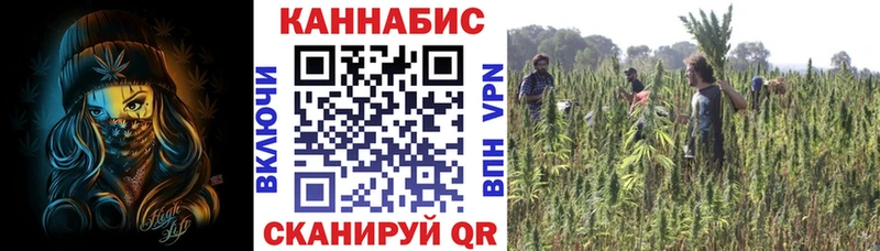 МАРИХУАНА планчик  купить закладку  Югорск 